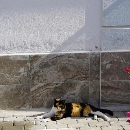 Lovely 1 Bedroom With Swimming Pool *